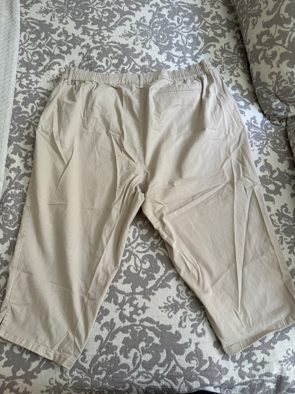 Capri Pants - Picture 3 of 3